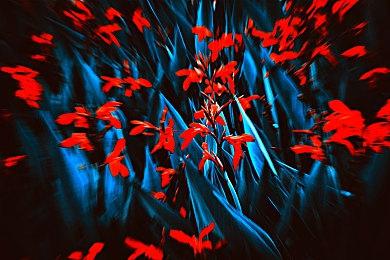 《足球经理2023》大型数据更新上线 依照现实调整球员能力水平