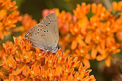 《冤罪执行游戏Yurukill》主题曲MV公开 游戏今日发售